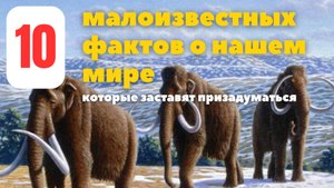 10 малоизвестных фактов о нашем мире