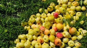 Кучка мала...