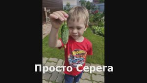 Посвящаю моим маленьким друзьям
