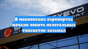 В московских аэропортах начали ловить нелегальных таксистов-зазывал