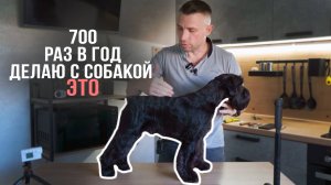 Ежедневный Уход за собакой. Жизнь без колтунов.