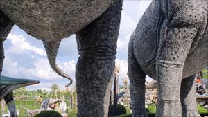 2023-11-15 ТАЙЛАНД: ПАТТАЙЯ (САД НОНГ НУЧ)