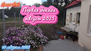 Из Германии в Россию. Первая декада август 2025.