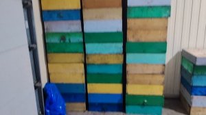 Заканчиваем снимать магазины с кочевки. Медосбор закончен.