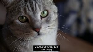 Я фиксирую неконструктивное общение