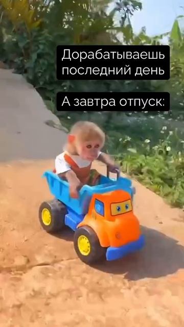 🌅ПОРА В МАЛИНКИ