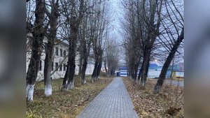 14 модель  аллея кузнецова