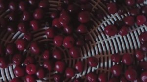 Как сушить малину и вишню с косточкой в электросушилке Ветерок | Личный опыт