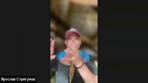 Парад звезд Нарзуллаев Элдор Абдигафурович.