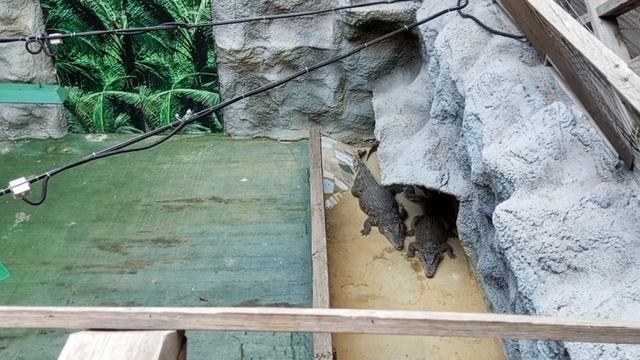 В Крым 2025г Пляжи Море Жильë Крокодилы Банановая Республика из Чувашии на машине с детьми на море