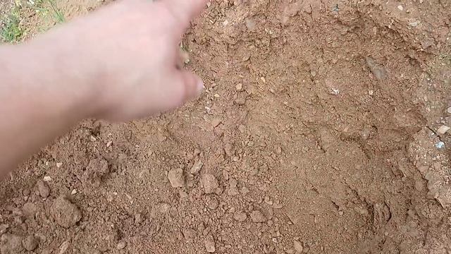 Поиск золота