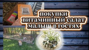 133-25!ПОКУПКИ ОТ СКУКИ И ЗАСУХИ/ САЛАТ/БАРЬЕР ОТ ВЕТРА/БАЙКАЛ В ХОДУ/МАЛЫШ В ГОСТЯХ 🐕