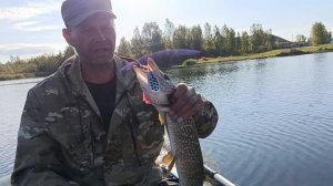 на какие блесна брала щучка сегодня