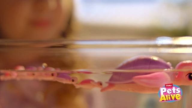 PA_Mama Turtle_Girls 5-8_16;9_30s_Brand_YOUTUBE смотреть онлайн