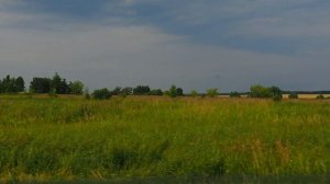 Дорога домой