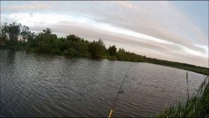 Ультралайт  День шнурка  Неогрузка