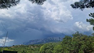 Песенная Медитация 20.08.2025