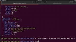 Suricata — это высокопроизводительная система обнаружения вторжений (IDS/IPS).