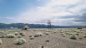 Новороссийск, Абрау-Дюрсо. Май 2025