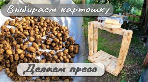 ВЫБИРАЕМ КАРТОШКУ ДЕЛАЕМ ПРЕСС