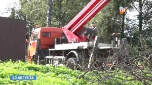 В деревне Тархово г. о. Клин удалили аварийное дерево