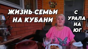 963 Наш южный сад/Переехали с Урала на юг/Купили дом в Родниках