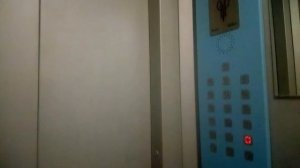 мнаго иташка лифты щлз