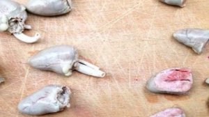 Жареные куриные сердечки со сметаной