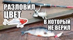 ВИБ снова делает результат. Обожаю эту приманку. Щука капризничает Спиннинг в Нижегородской области