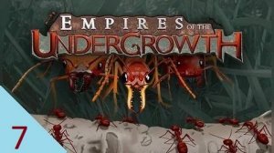 Empires of the Undergrowth 7