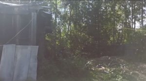 выходные с детьми на даче