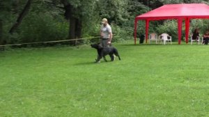 Возрождение Бис, 10.08.25 г., САС