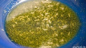 Чесночные гренки в духовке к пиву