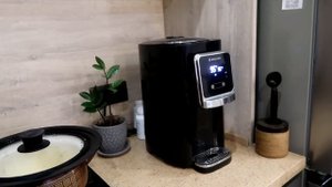 vlog  САШКА РАЗОРАЛСЯ / НЕУБИВАЕМАЯ ЩЕТКА / СПОРЫ ИЗ-ЗА ЧАЙНИКА / КТО ДОЕДАЕТ / ПИСЬМА МОРОЗУ