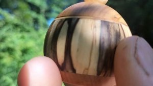 Шкатулка в августовском лесу на березке