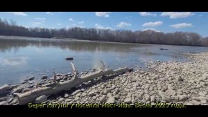 Берег Катуни у поселка Мост-Иша. Весна 2025 года