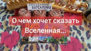 💞🌹💕💓89028257779💞💗💖💝🥰