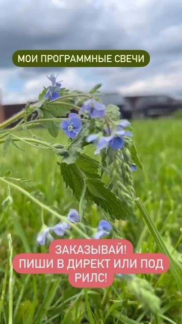 Индивидуальные программные свечи сделанные под запрос клиента.