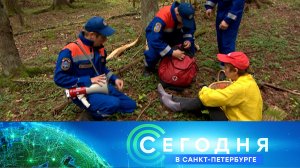 «Сегодня в Санкт-Петербурге»: 20 августа 2025 года