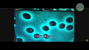 Хочешь жить долго? Узнай правду о влиянии водорода на кровь