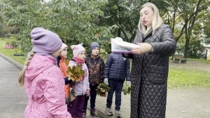 ГБДОУ 106 Фрунзенского района Санкт-Петербурга