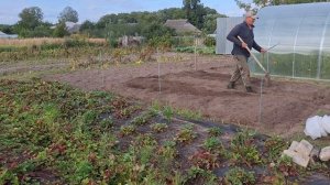 Здесь будет клубника,часть3