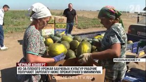 Работать по закону будут все: как прошёл рейд по теневой занятости в Раздольненском районе