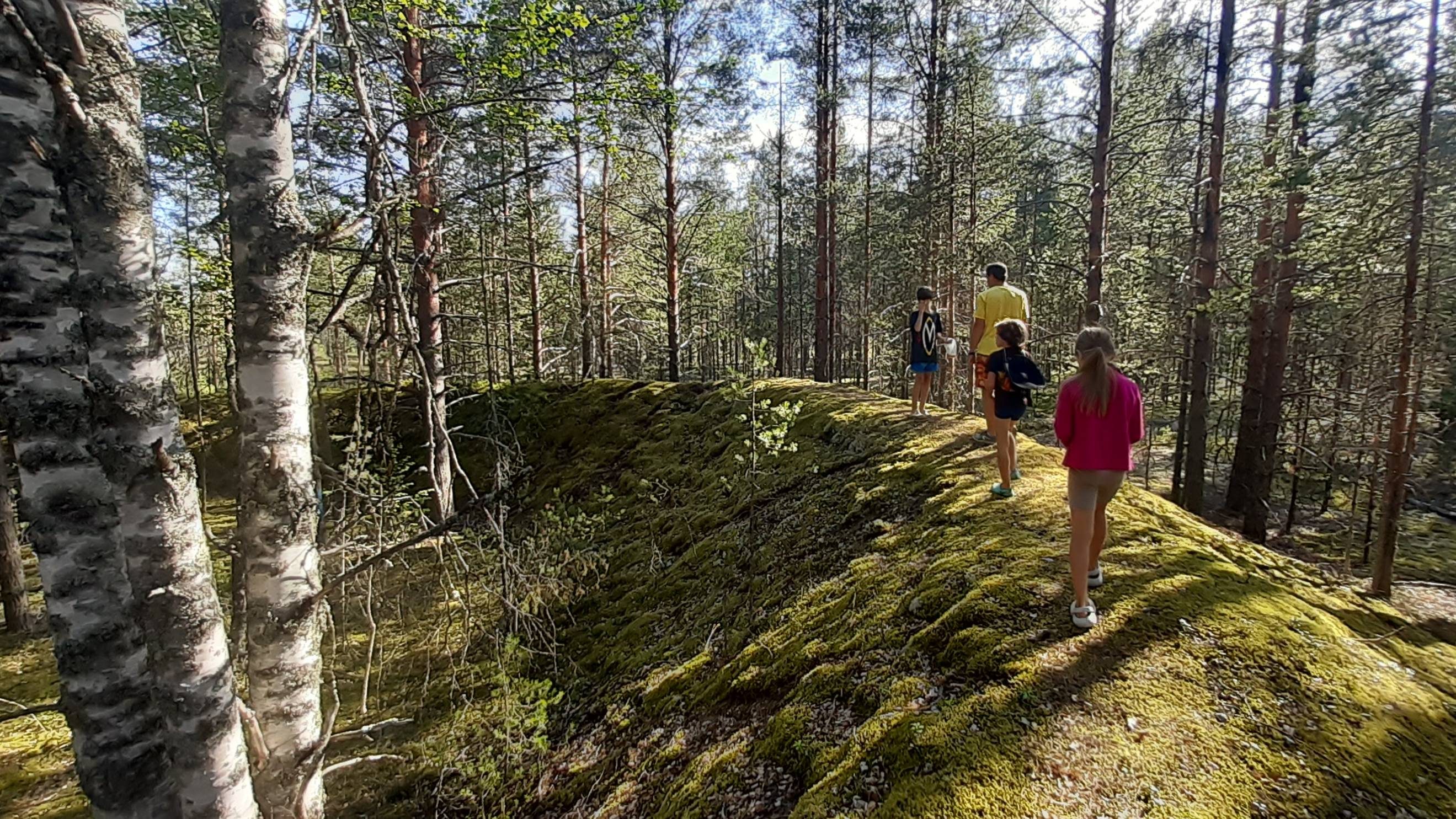 Путешествие в Карелию с детьми. День 5 и 6. Заячьи скалы - Марциальные воды - Кивач - Палеозеро