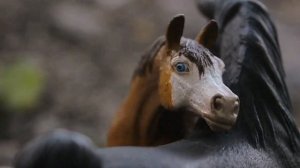 Верные слова про любовь. (schleich, шляйх)