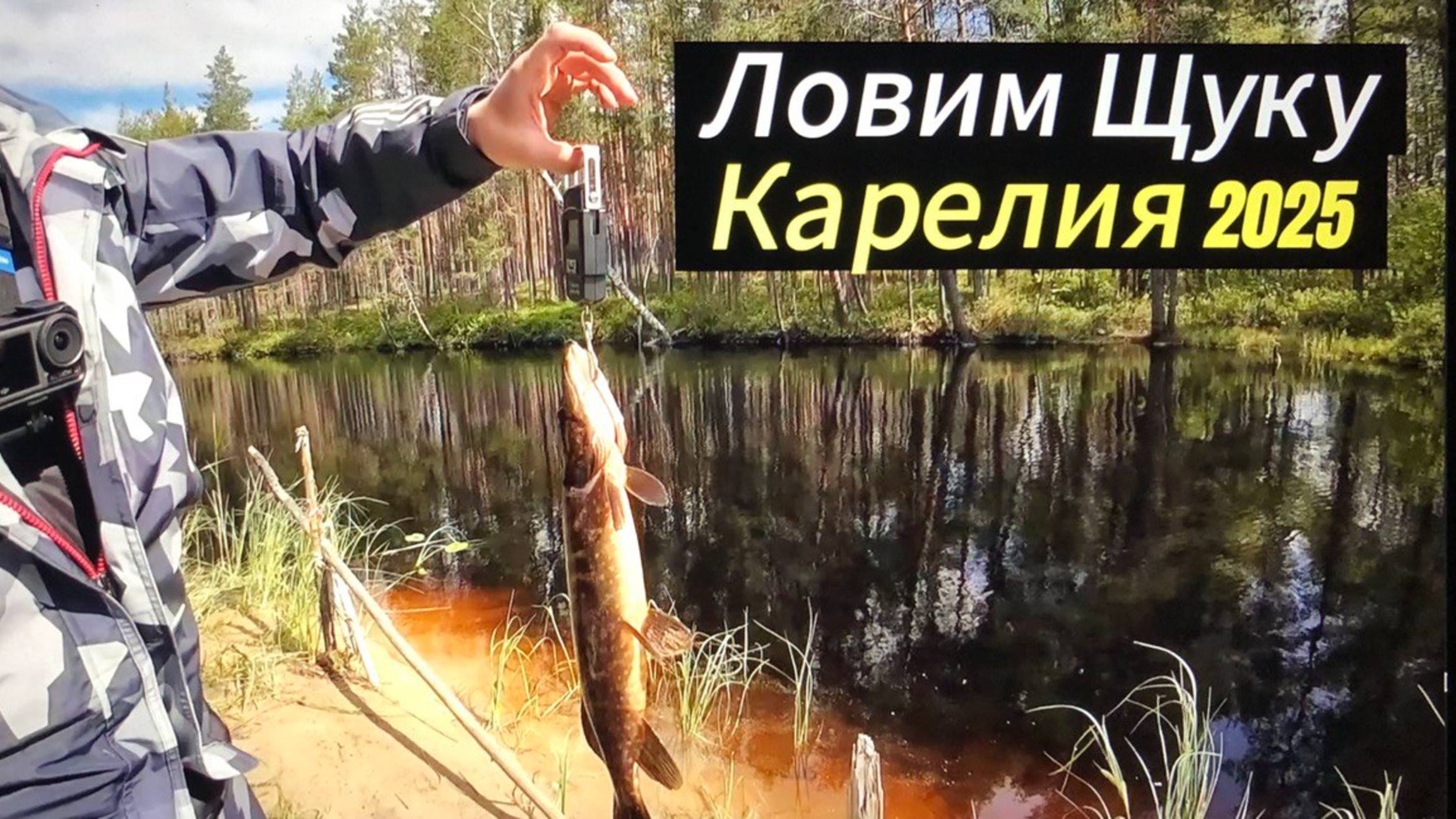 Карелия 2025 Июль . Раздача на озере и речке . Окунь и Щука . Рыбалка на спиннинг . смотреть онлайн