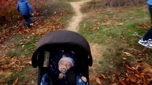 vlogПОСЛЕДНИЙ ДЕНЬ КАНИКУЛ / КУПИЛИ 11 КГ ЛЕГО / СОБИРАЕМ ГЕРБАРИЙ / ФУДКОРТ И НЕОЖИДАННЫЙ ПОДАРОК