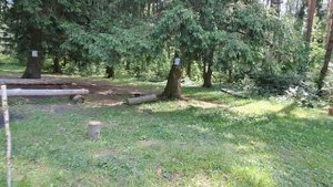 Лес, в деревне. Птицы поют. Иду по тропинкам. Начало Июля. 3 число. Часть 1.