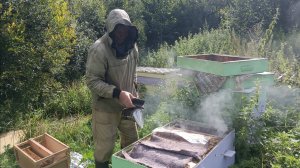 Настоящий Вологодский Мед. Разнотравье.