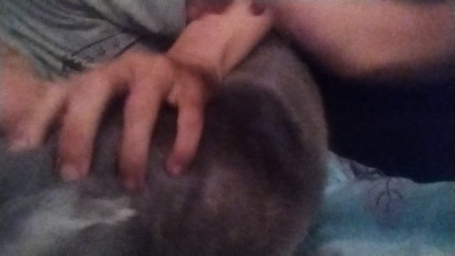 Шкода смотреть онлайн